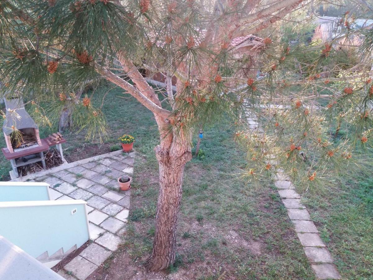 B&B Le Due Cisterne 베르놀레 외부 사진